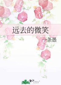 远去的微笑