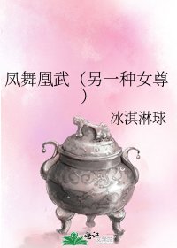 凤舞凰武(另一种女尊)