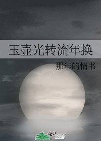 玉壶光转流年换