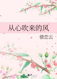 从心吹来的风