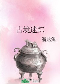 古境迷踪