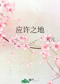 应许之地