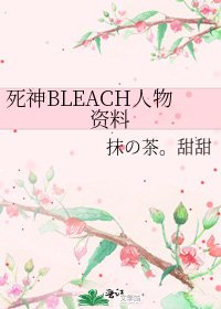 死神BLEACH人物资料