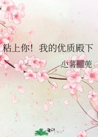 粘上你!我的优质殿下