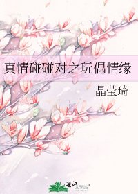 真情碰碰对之玩偶情缘