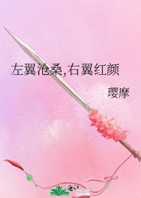 左翼沧桑,右翼红颜