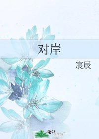 对岸
