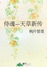 侍魂—天草新传