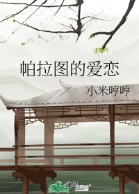 帕拉图的爱恋