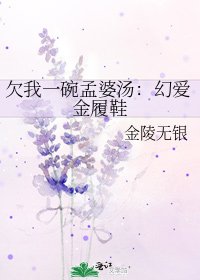 欠我一碗孟婆汤:幻爱金履鞋