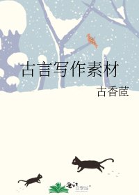 古言写作素材