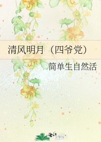 清风明月(四爷党)