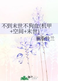 不到末世不狗血(机甲+空间+末世)