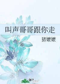 叫声哥哥跟你走