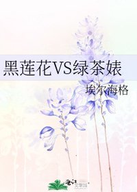黑莲花VS绿茶婊