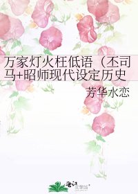万家灯火枉低语(丕司马+昭师现代设定历史线)