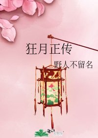 狂月正传