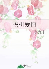投机爱情