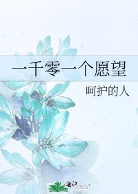 一千零一个愿望