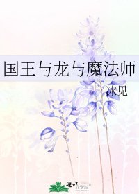 国王与龙与魔法师
