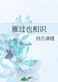 雁过也相识