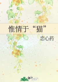 惟情于“猫”