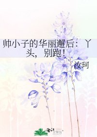 帅小子的华丽邂后:丫头,别跑!