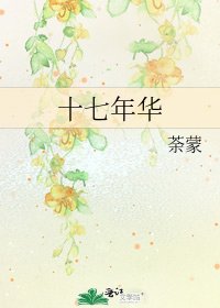 十七年华