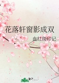 花落轩窗影成双