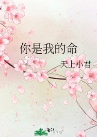 你是我的命