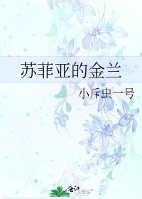蘇菲亞的金蘭