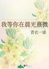 我等你在晨光熹微