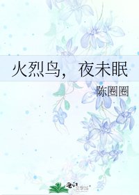 火烈鸟,夜未眠