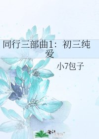 同行三部曲1:初三纯爱