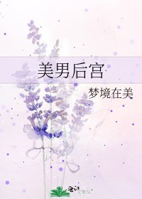 美男后宫