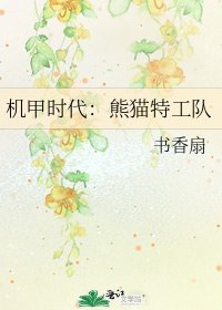 机甲时代:熊猫特工队
