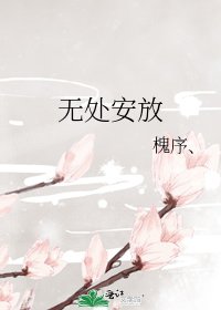 无处安放
