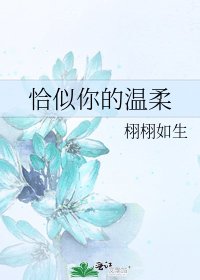 恰似你的温柔