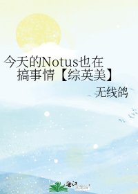 今天的Notus也在搞事情【综英美】