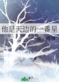 他是天边的一番星