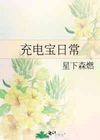 充电宝日常