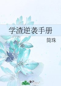 学渣逆袭手册