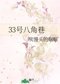 33号八角巷