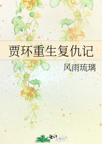 贾环重生复仇记