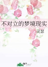 不对立的梦境现实