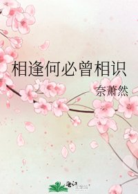 相逢何必曾相识