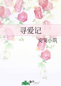 寻爱记