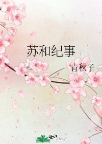 蘇和紀事