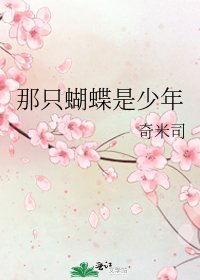 那只蝴蝶是少年