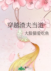 穿越渣夫当道